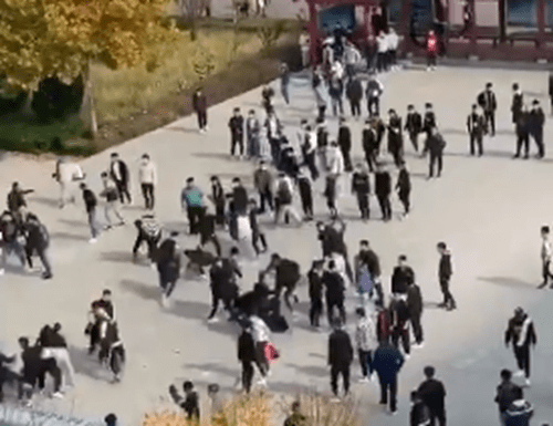 滨州打架最新事件,滨州打架最新事件，观点阐述与立场分析