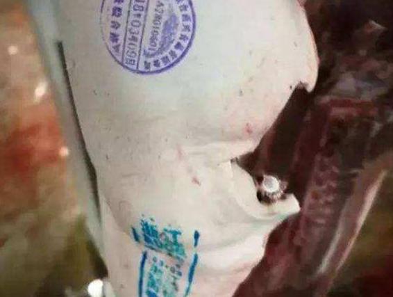 最新猪肉可食用与否的探讨，一场心灵平静之旅