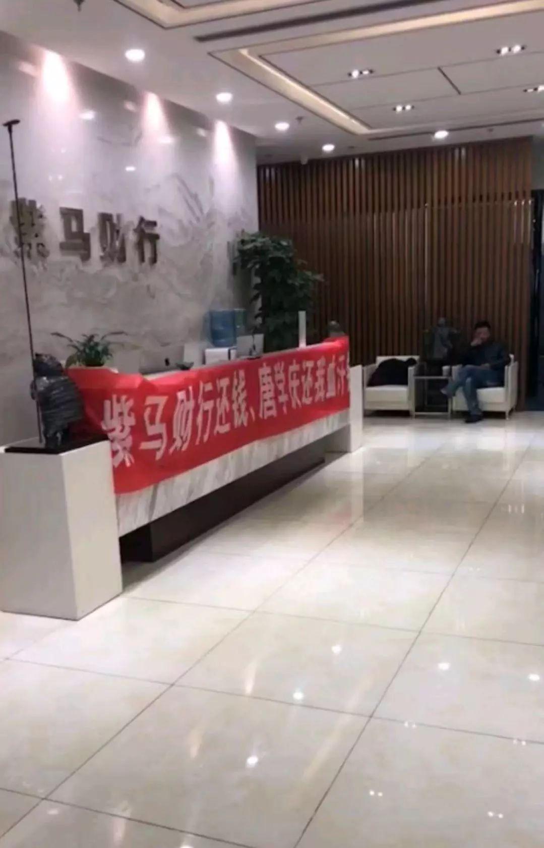 最新限制网使用指南，初学者与进阶用户全方位教程