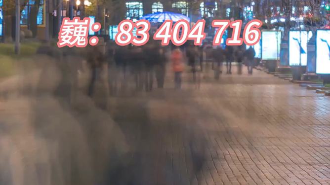 最新番摊，文化现象的深度探讨与解析
