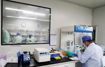 最新流感通报与小巷深处的独特风味