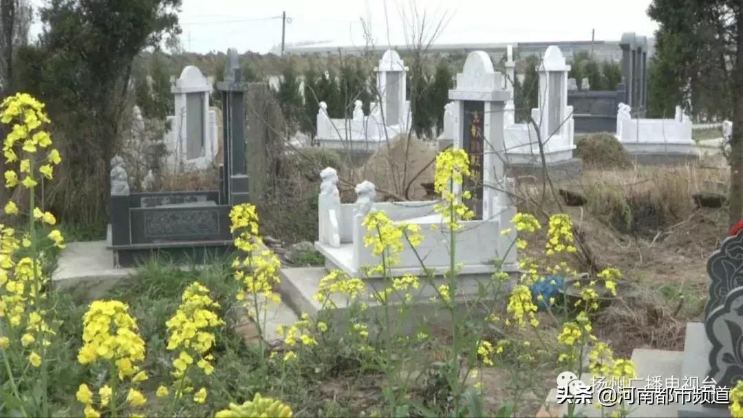 扬州最新规定塑造城市新时代风貌与秩序新篇章