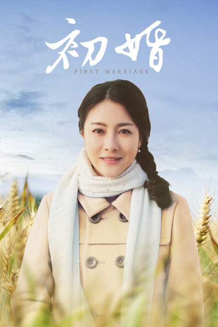 时代背景下的婚姻启航，初婚最新章节分享