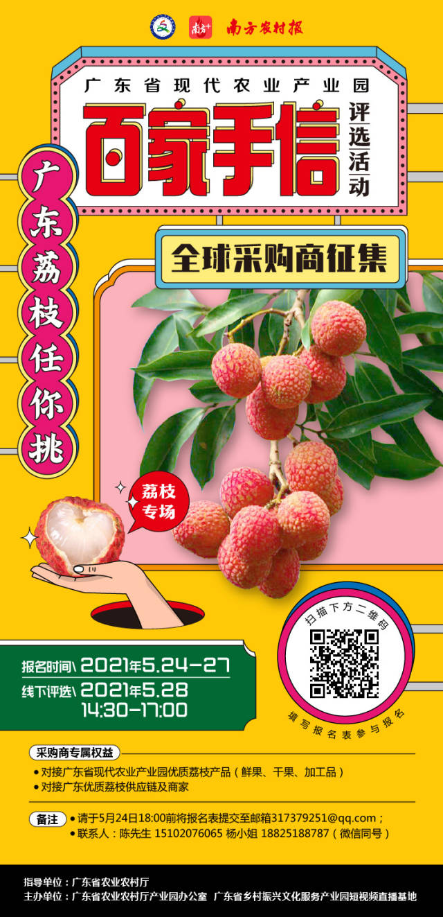 最新荔枝商机，繁荣背后的故事与未来前景展望