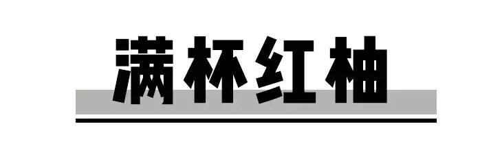 鲜柚最新使用指南，任务完成与技能学习步骤详解
